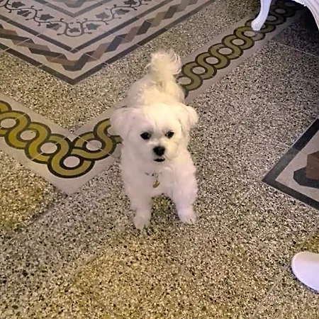 Al 32 ماسا ماريتيما