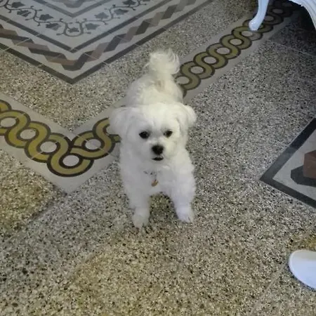 Oda ve Kahvaltı Al 32 3*