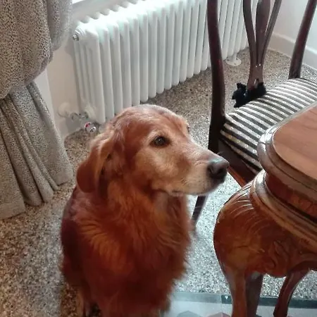 Al 32 Massa Marittima